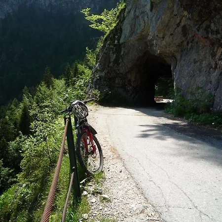 Apartment Schloemicher Leopold Und Birgitt Bad Mitterndorf
