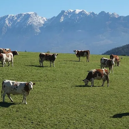 Apartment Schloemicher Leopold Und Birgitt