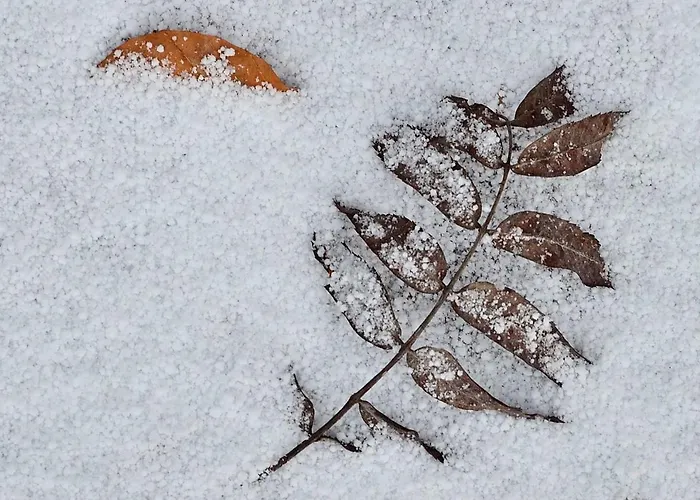 Schloemicher Leopold Und Birgitt Appartement *