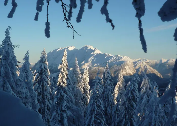 Appartement Schloemicher Leopold Und Birgitt Bad Mitterndorf