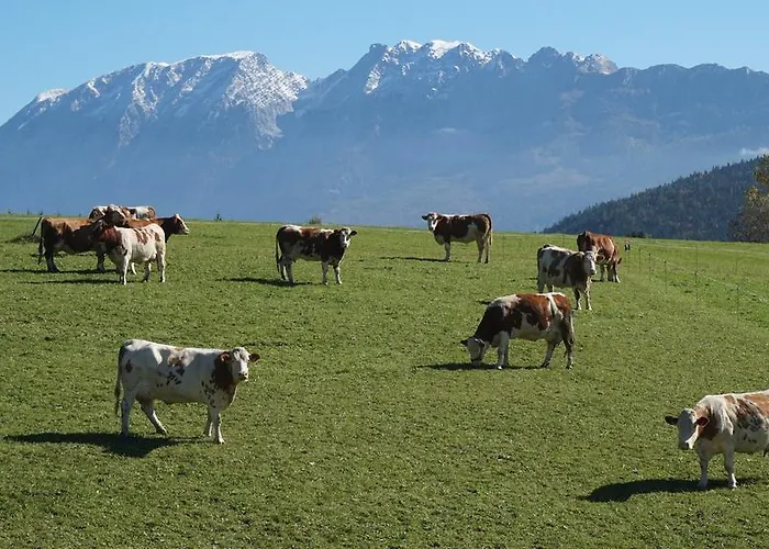 Apartmán Schloemicher Leopold Und Birgitt